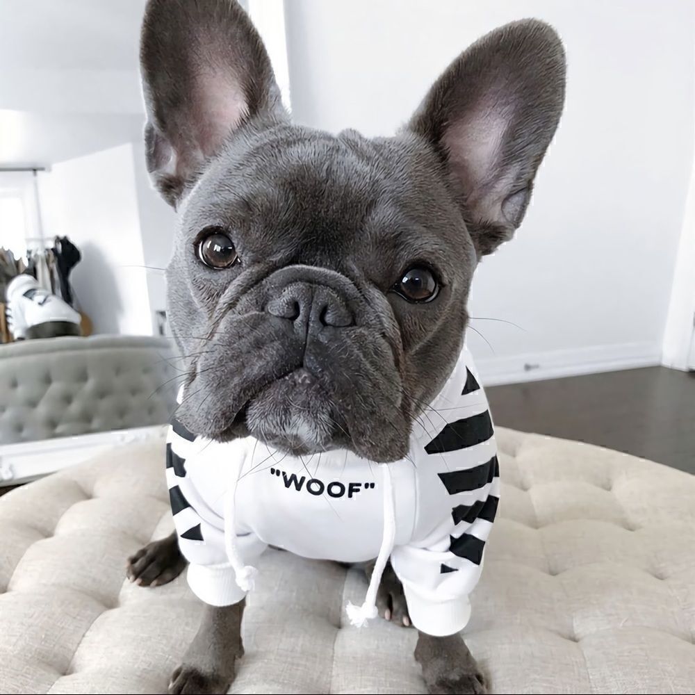 ❤️dog hoodie❤️good for Chihuahua,Bulldogs Hoodies for small --medium Dogs - Picture 3 of 6